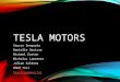 TESLA MOTORS Saurav Sengupta Danielle Darisse Michael Easton Nicholas Lawrence Julian Saldana Amed Tovi Tesla commercial