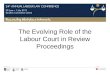 The Evolving Role of the Labour Court in Review Proceedings