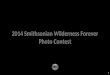 1 2014 Smithsonian Wilderness Forever Photo Contest
