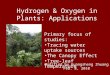 Primary focus of studies: Tracing water uptake sources The Canopy Effect Tree-leaf Temperature Hydrogen & Oxygen in Plants: Applications Modified by Guangsheng