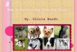 By. Olivia Booth T ABLE OF C ONTENTS Page 3- Choosing the right dog for you Question List. Page 4- Choosing the right dog for you Page 5- Choosing the
