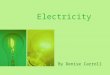 Electricity By Denise Carroll. Electricity Think: Can you think of anything that uses electricity?