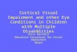 Cortical Visual Impairment and other Eye Conditions in Children with Multiple Disabilities By Chris Marshall Education Consultant for Visual Impairment