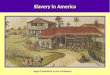 Slavery in America Sugar Plantation in the Caribbean