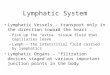 Lymphatic System Lymphatic Vessels – transport only in the direction toward the heart. –Pick up the “extra” tissue fluid that capillaries leave –Lymph