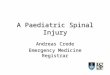 A Paediatric Spinal Injury Andreas Crede Emergency Medicine Registrar