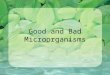 Good and Bad Microorganisms. Review What is the role of decomposers in the food chain? What are three different types of decomposers? VIDEO