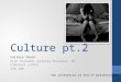 Culture pt.2 Culture Shock Ryan Packard, Arlette Fellores, Mr. Fabulous (John) ISD 200 See references at end of presentation