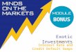 Exotic Investments Lesson 2 Interest Rate and Credit Default Swaps BONUS