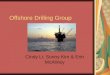 Offshore Drilling Group Cindy Li, Sunny Kim & Erin McAliney