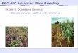 PBG 650 Advanced Plant Breeding Module 5: Quantitative Genetics – Genetic variance: additive and dominance