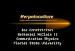 Herpetoculture Boa Constrictors Nathaniel McClain II Communication Physics Florida State University