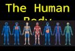 The Human Body. Videos Human Facts -  eature=related  eature=related