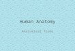 Human Anatomy Anatomical Terms. Definitions Anatomy – Deals with the structure of body parts – their forms and relationships. Physiology – Deals with