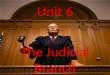 Unit 6 The Judicial Branch. Section 1: The Lower Courts