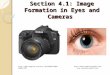 Section 4.1: Image Formation in Eyes and Cameras //