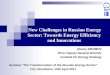 New Challenges in Russian Energy Sector: Towards Energy Efficiency and Innovations Alexey GROMOV Ph.D, Deputy General Director Institute for Energy Strategy
