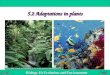 Biology 1b Evolution and Environment GCSE CORE 5.2 Adaptations in plants