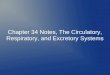 Chapter 34 Notes, The Circulatory, Respiratory, and Excretory Systems