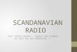 SCANDANAVIAN RADIO THAT COVERS NORWAY, SWEDEN AND DENMARK IN CASE YOU ARE WONDERING !!