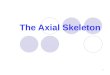 The Axial Skeleton 1. Axial skeleton ï‚ Skull ï‚ Vertebral column ï‚ Thoracic cage Appendicular skeleton ï‚ Pectoral and pelvic girdles ï‚ Upper and lower