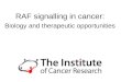 RAF signalling in cancer: Biology and therapeutic opportunities