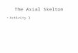The Axial Skelton Activity 1. Human Anatomy and Physiology, 7e by Elaine Marieb & Katja Hoehn Copyright © 2007 Pearson Education, Inc., publishing as