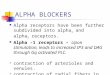 ALPHA BLOCKERS Alpha receptors have been further subdivided into alpha 1 and alpha 2 receptors. Alpha -1 receptors – Upon stimulation, leads to increased