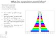 What does a population pyramid show? Population pyramids show the population structure of a country… the number of different age groups. the percentage