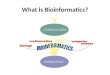 What is Bioinformatics?. Conceptualizing biology in terms of molecules and then applying “informatics” techniques from math, computer science, and statistics