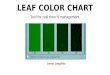 LEAF COLOR CHART Tool for real time N management James Lasquites