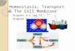 Homeostasis, Transport & The Cell Membrane Chapter 4-2 (pg 73 – 75) Chapter 5