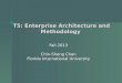 T5: Enterprise Architecture and Methodology Fall 2013 Chin-Sheng Chen Florida International University