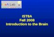 IST8A Fall 2008 Introduction to the Brain. Outline of Topics 1.Imaging: postmortem and MRI 2.Brain Macro anatomy – lobes, tissues, cortex, hippocampus,