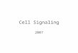 Cell Signaling 2007 Cells sense and send information (signals) Cells communicate with each other Cells must sense and respond to changes in the environment