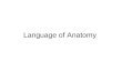 Language of Anatomy. Anatomical Position Positions of areas are determined relative to the standard anatomical position. –Body is erect, feet slightly