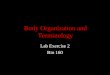 Body Organization and Terminology Lab Exercise 2 Bio 160