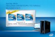 1 1 Spring 2010 SELLING DESKTOPS TO SMALL BUSINESSES