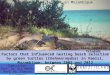 Factors that influenced nesting beach selection by green turtles (Chelonia mydas) in Vamizi, Mozambique, between 2003 and 2012 Supervisors: Prof. Dr. Rui