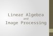 Linear Algebra and Image Processing. Topics Vectors and Matrices Vector Spaces Eigenvalues and Eigenvectors Digital Images - Basic Concepts Histograms