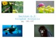 Section 6.3: Kingdom Animalia pg. 182-197. Part 1: Invertebrates