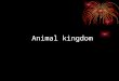 Animal kingdom. Basis of classification There are certain features which are used as the basis for animal classification.They are 1.Levels of organisation-cellular