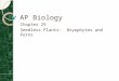 AP Biology Chapter 29 Seedless Plants: Bryophytes and Ferns