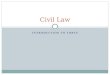 INTRODUCTION TO TORTS Civil Law. Common Questions about Civil Law Who can be sued?  Anyone  Children?  Deep Pockets (Employers, Companies, etc) Who