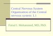 Central Nervous System Organization of the Central nervous system: L1 Faisal I. Mohammed, MD, PhD. 1