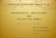 GEOGRAPHICAL INDICATIONS AND COLLECTIVE MARKS Matteo Pegoretti Alessandra Rauccio Chi XI Intellectual Property and Competitive Law
