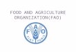 FOOD AND AGRICULTURE ORGANIZATION(FAO). WHAT IS IT? It leads international efforts to defeat hunger. FAO acts as a neutral forum where all nations meet