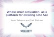 Whole Brain Emulation, as a platform for creating safe AGI Anna Salamon and Carl Shulman