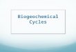 Biogeochemical Cycles. How Can Abiotic Impacts Affect the Environment Let’s first understand what natural processes occur on earth