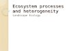 Ecosystem processes and heterogeneity Landscape Ecology